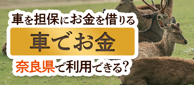 奈良県の車担保金融「車でお金」