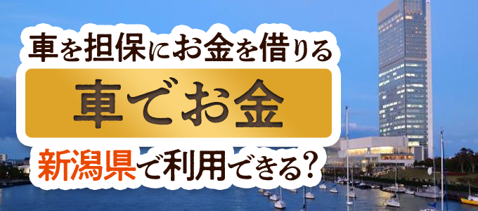 新潟県の車担保金融「車でお金」